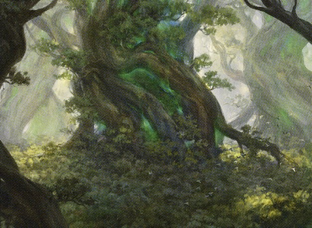 Turntimber Symbiosis // Turntimber, Serpentine Wood card art