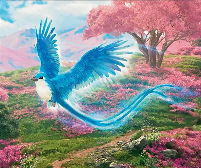 Bird