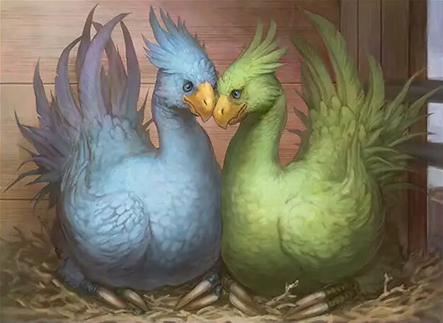 Sidequest: Raise a Chocobo // Black Chocobo