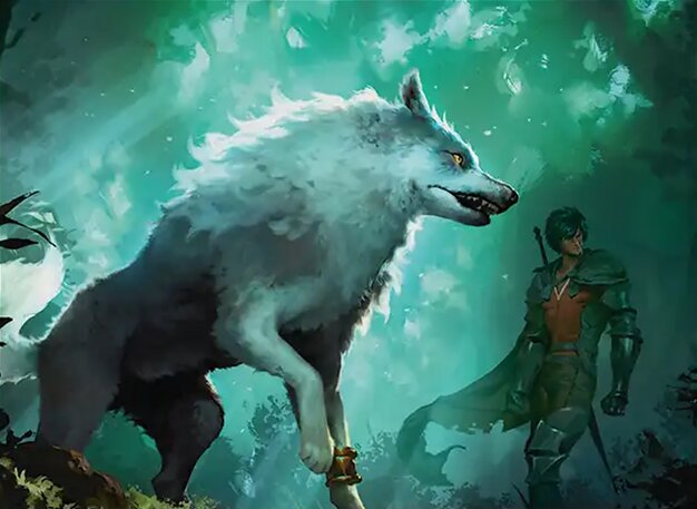 Torgal, A Fine Hound