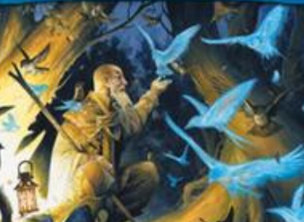 Donal, Herald of Wings