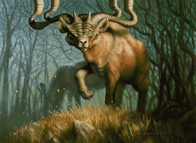 Grazing Gladehart