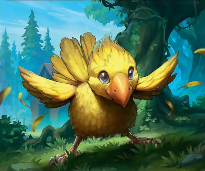 Bird