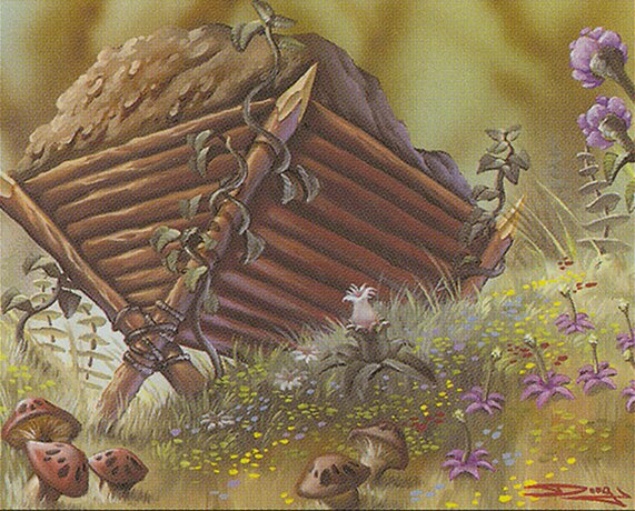 Compost