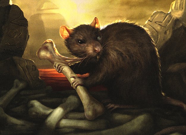 Ruin Rat