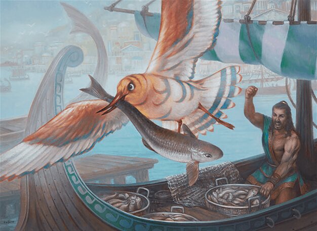Vexing Gull