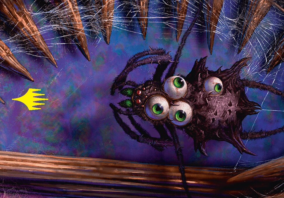 Spider // Spider