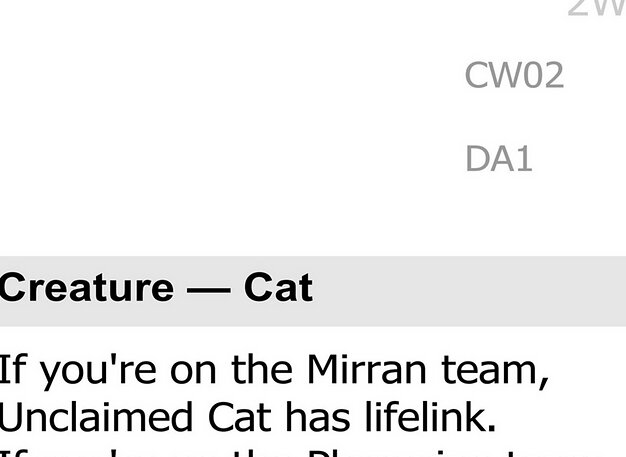 Unclaimed Cat