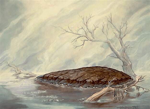 Barren Moor