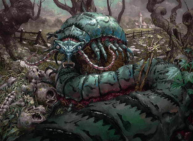 Moldgraf Millipede
