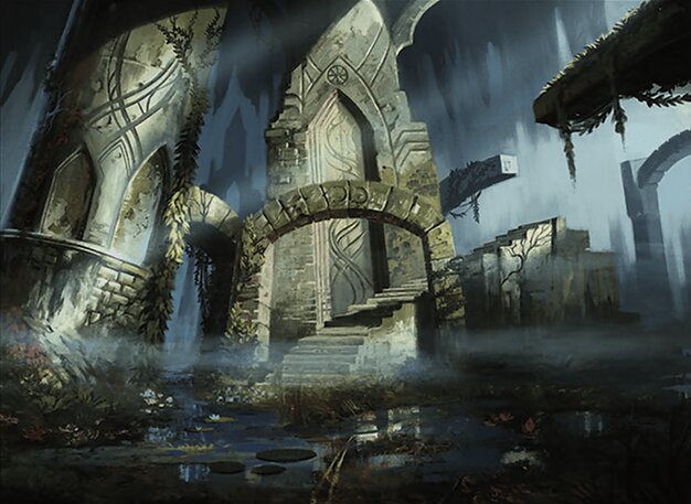 Swamp
