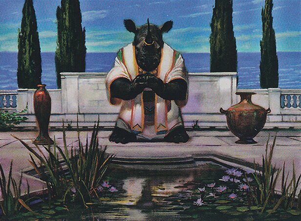 Rhox Meditant