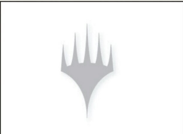 The Kami Knight