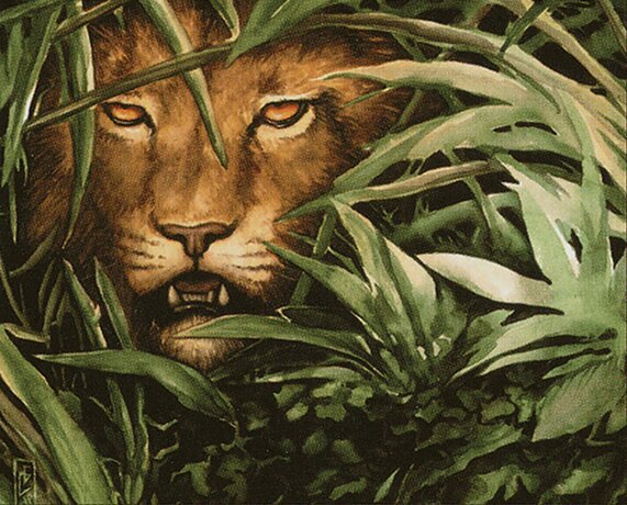 Jungle Lion
