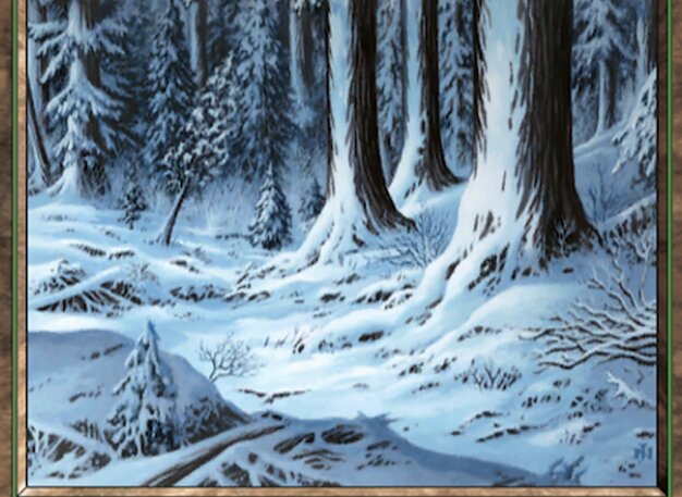 Snow-Covered Forest