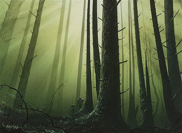 Forest