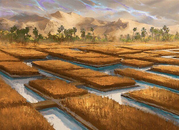 Irrigated Farmland