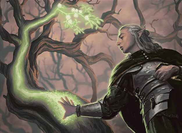Elvish Rejuvenator