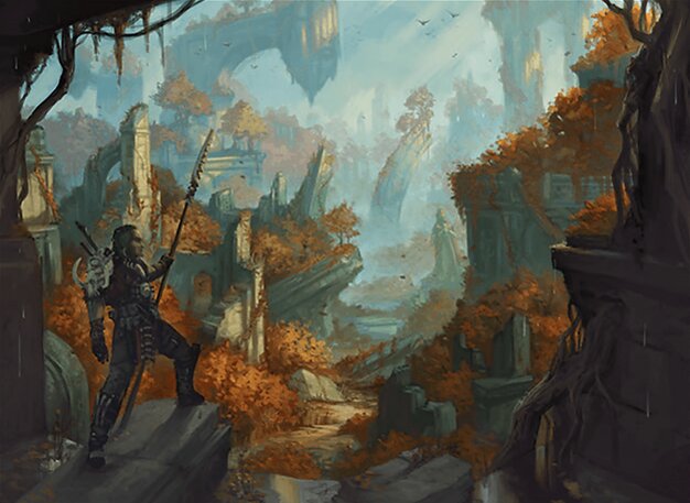 Wilderness Reclamation