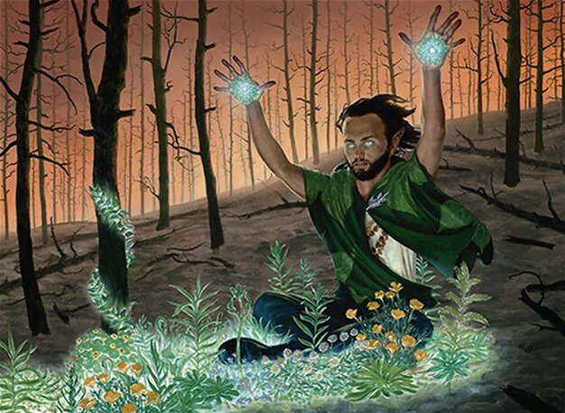 Springbloom Druid