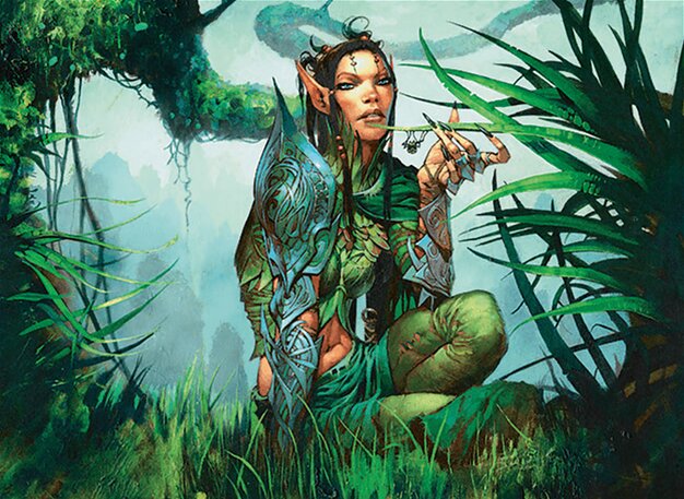 Druid of the Anima