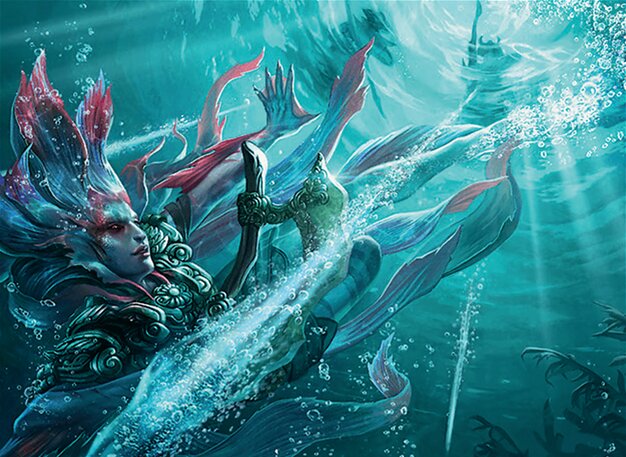 Dive Down