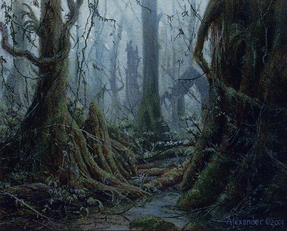 Tainted Wood