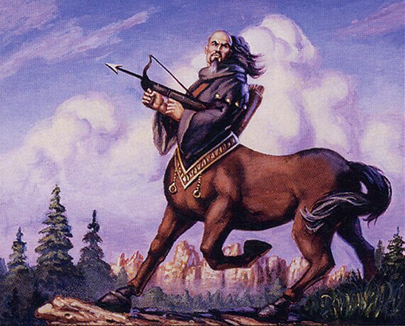 Seton's Scout