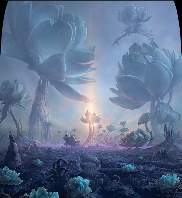 Swamp