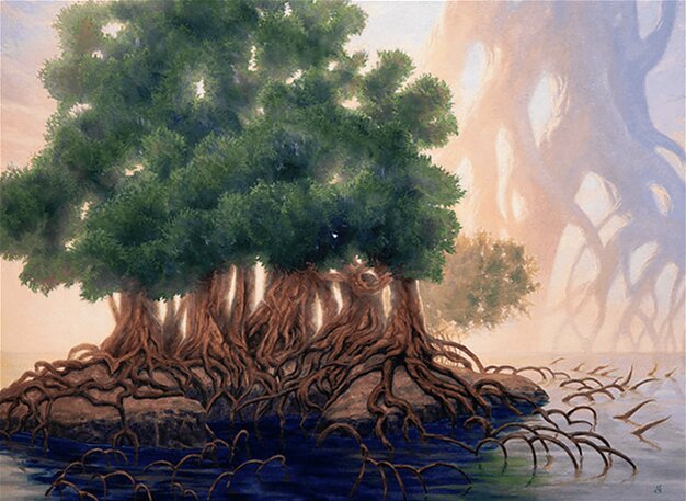 Tangled Islet