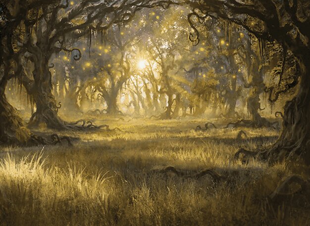 Plains