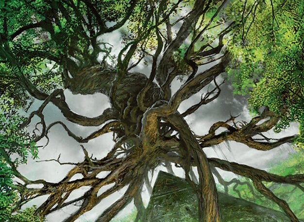 Forest - Foundations Jumpstart Magic: The Gathering Card - Basic Land — Forest by Vincent Proce