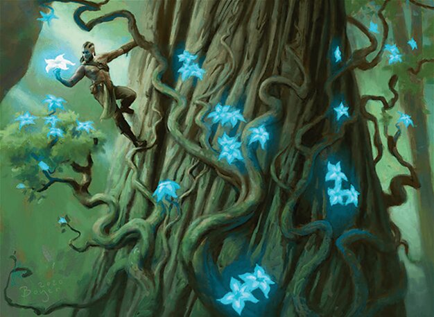 Bounty of Skemfar