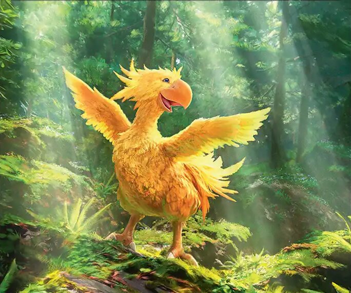 Bird