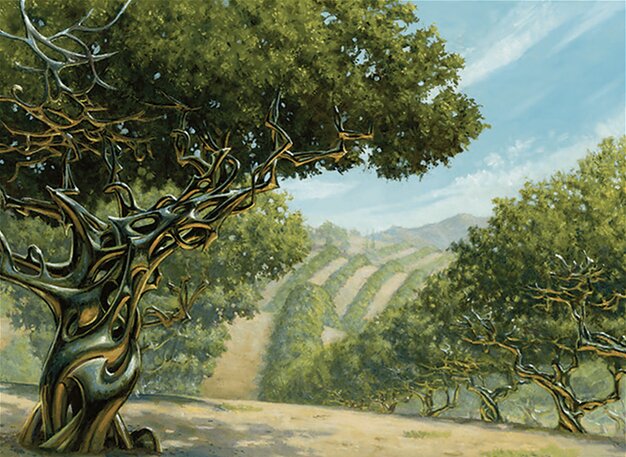 Exotic Orchard