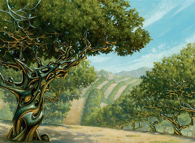 Exotic Orchard