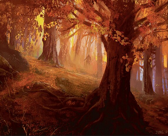 Forest