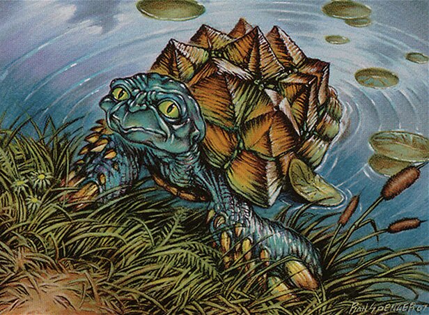 Turtleshell Changeling