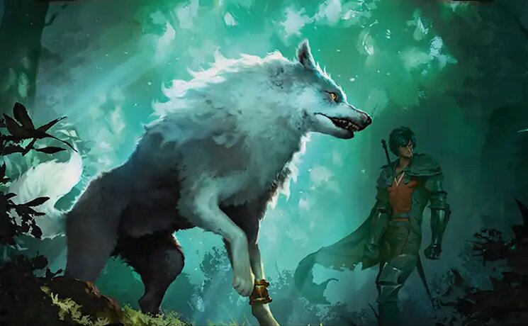 Torgal, A Fine Hound