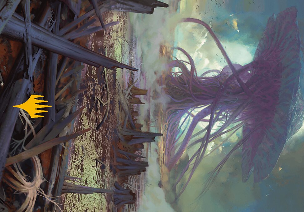 Swamp // Swamp