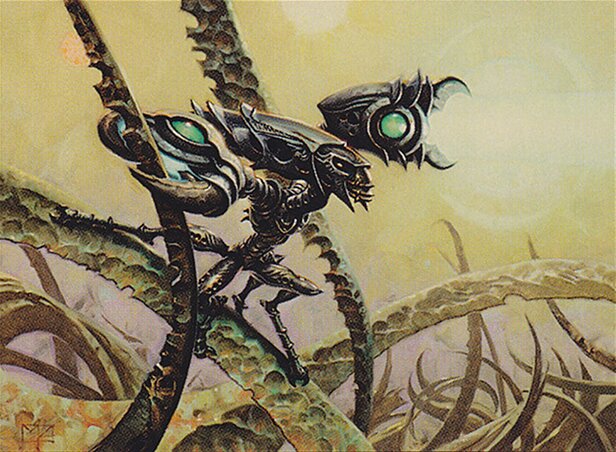 Signal Pest
