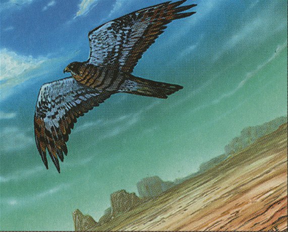 Mesa Falcon