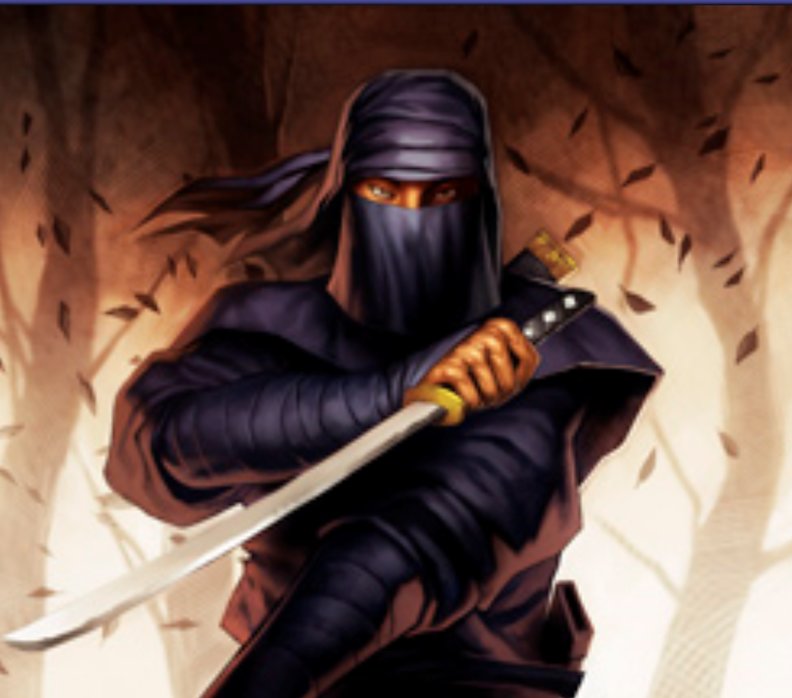 Higure, the Still Wind Avatar