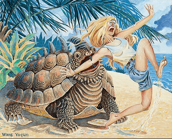Horned Turtle