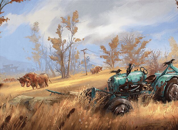 Sungrass Prairie