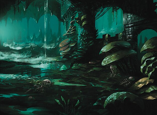 Swamp