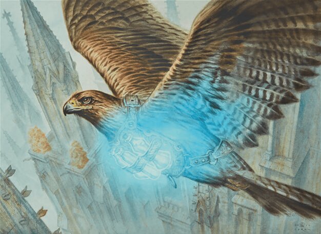 Healer's Hawk