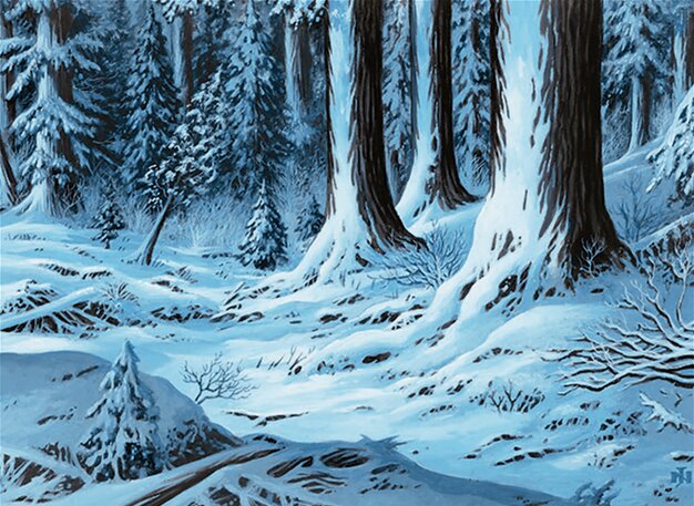 Snow-Covered Forest