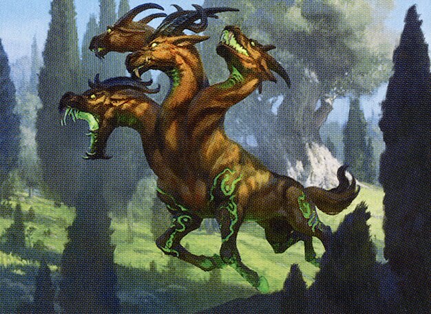 Hydra's Growth