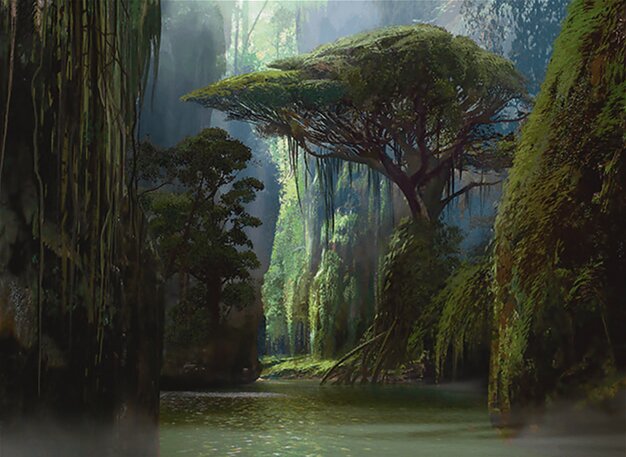 Jungle Hollow